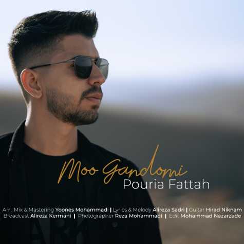 pouria fattah moo gandomi 2023 04 17 00 20