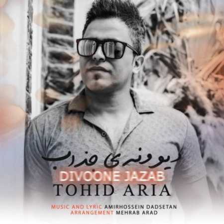 tohid aria divoone jazab 2023 05 25 16 20