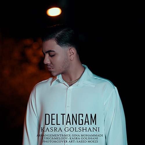 kasra golshani deltangam 2023 08 23 12 50