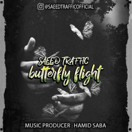 saeed traffic butterfly flight 2023 08 27 15 40