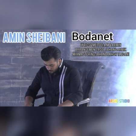 amin sheibani bodanet 2023 10 09 17 00