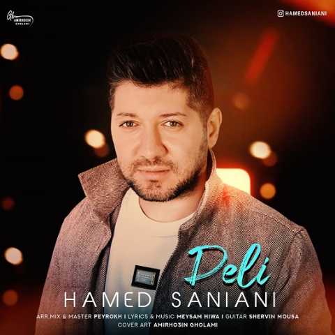 hamed saniani deli 2023 11 23 16 35