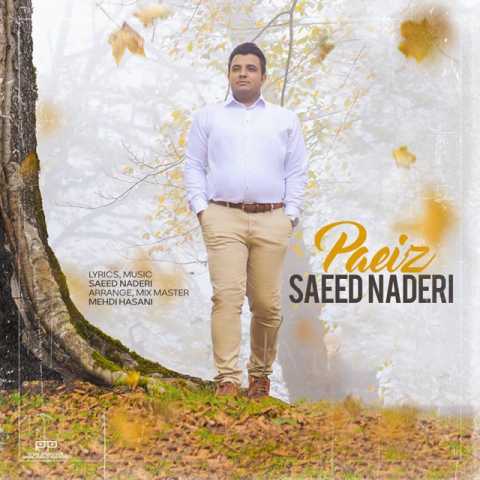 saeed naderi paeiz 2023 11 02 08 55