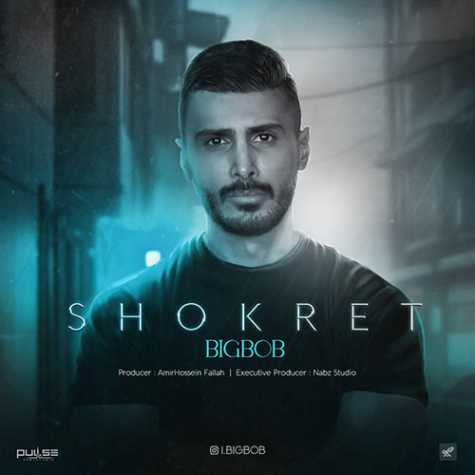 bigbob shokret 2023 12 10 11 00