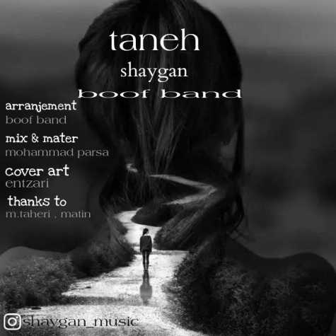 shaygan taneh 2024 01 27 08 40