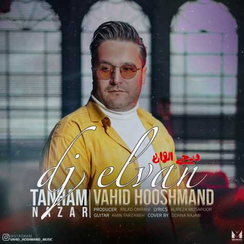 vahid hooshmand tanham nazar dj elvan remix 2024 01 21 07 55