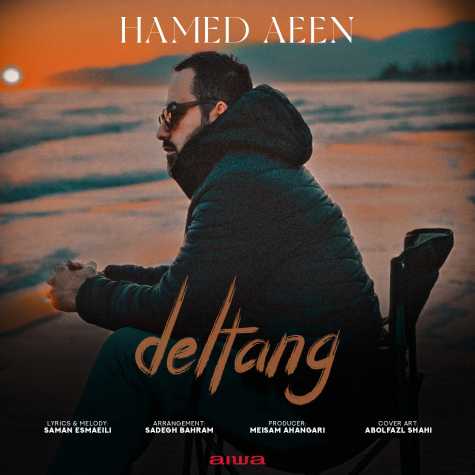 hamed aeen deltang 2024 03 27 13 05