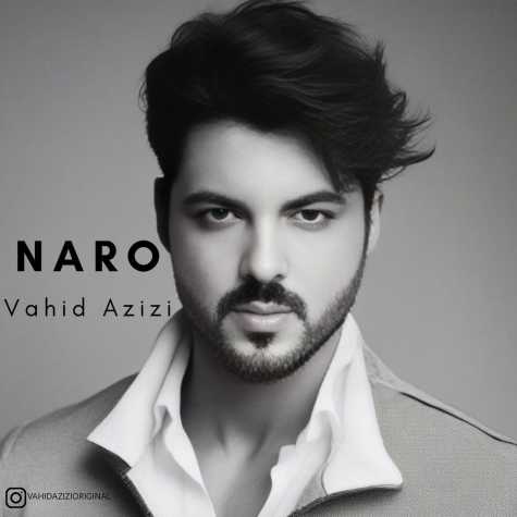 vahid azizi naro 2024 05 30 09 20