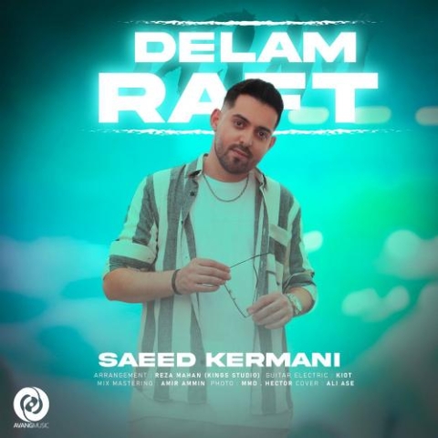 saeed kermani delam raft 2024 06 09 16 30