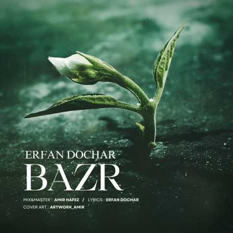 erfan dochar bazr 2024 10 13 09 12