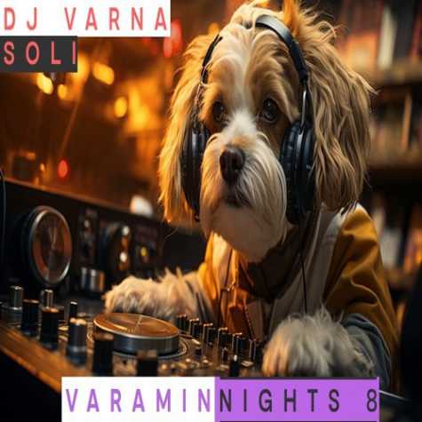 dj varna varamin nights 08 2024 12 05 11 25