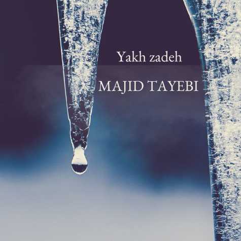 majid tayebi yakh zadeh 2024 12 13 17 56