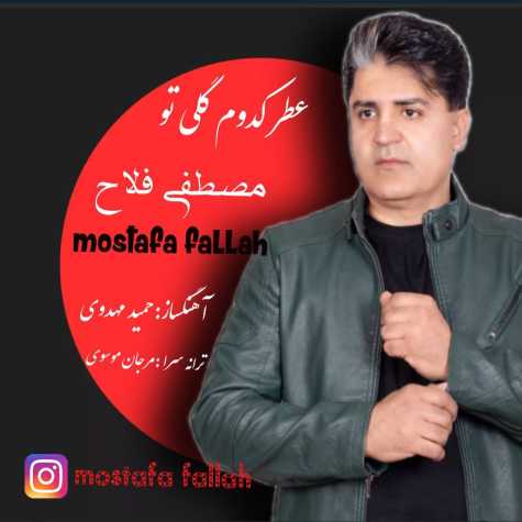 mostafa fallah atre kodoom goli to 2024 12 13 17 55