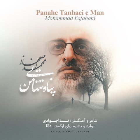 mohammad esfahani panahe tanhaei man 2025 03 04 10 32