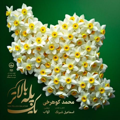 دانلود آهنگ محمد کوهرخی یک پله بالاتر 1 mohammad koohrokhi yek pelle balatar 2025 05 03 13 55