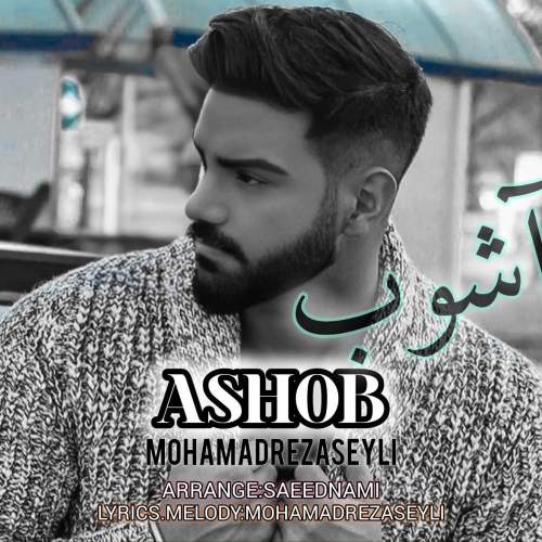 mohamadreza seyli ashob 2025 06 12 12 35