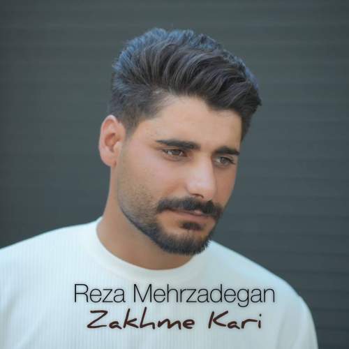 reza mehrzadegan zakhme kari 2025 07 21 12 45