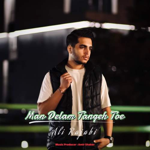 دانلود آهنگ علی رجبی من دلم تنگ توئه 10 ali rajabi man delam tange toe 2025 10 14 23 40