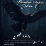دانلود آهنگ سعید شهسواری پرنده مجنون (شهسوار)