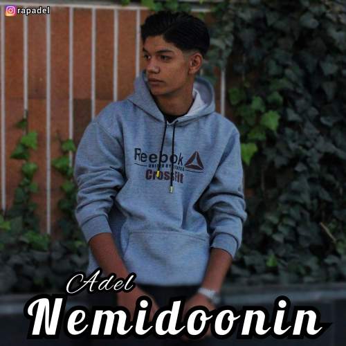 دانلود آهنگ عادل نمیدونین 1 adel nemidoonin 2025 11 24 21 15