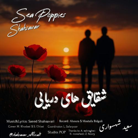 saeed shahsavari shahsavar sea poppies 2025 11 12 18 20