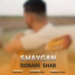 دانلود آهنگ شایگان دوباره شب
