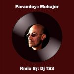 دانلود آهنگ Dj TS3 ریمیکس پرنده مهاجر (سیاوش قمیشی)