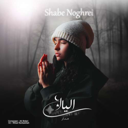 elyana madar silver night 2026 01 27 18 06