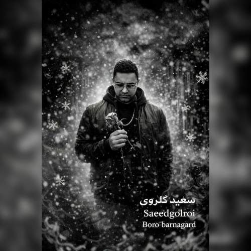 saeed golroi boro barnagard 2026 02 25 07 54