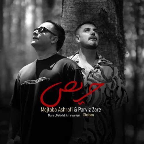 mojtaba ashrafi ft parviz zare haris 2026 07 11 14 30