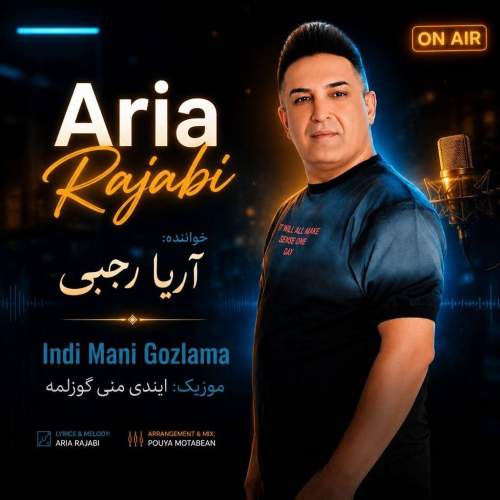 دانلود آهنگ آریا رجبی ایندی منی گوزلمه 1 aria rajabi indi mani gozlama 2026 08 16 14 06