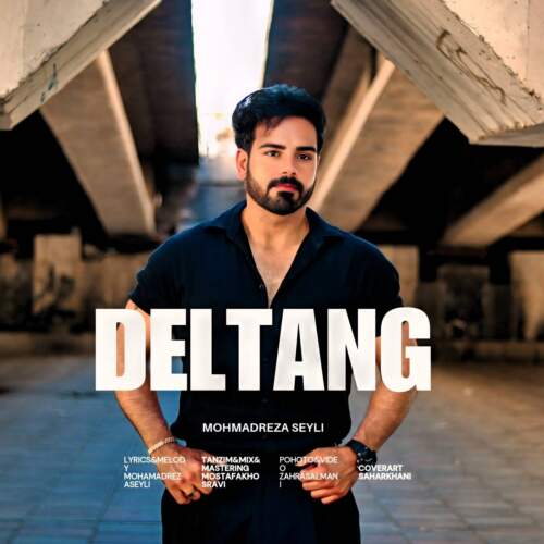 mohamadreza seyli deltang 2026 08 05 13 06