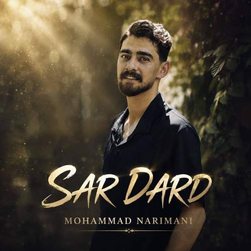 mohammad narimani sardard 2026 08 15 13 18