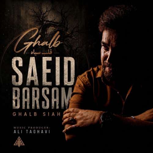 saeid barsam ghalbe siah 2026 08 29 14 00