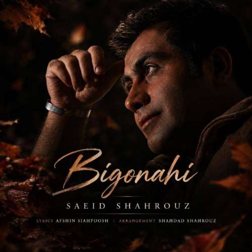 دانلود آهنگ سعید شهروز بی گناهی 1 saeid shahrouz bi gonahi 2026 10 02 17 00